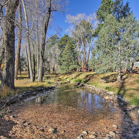 Cozy Colorado Cabin With Deck, Grill And River Access! Буена-Віста Екстер'єр фото