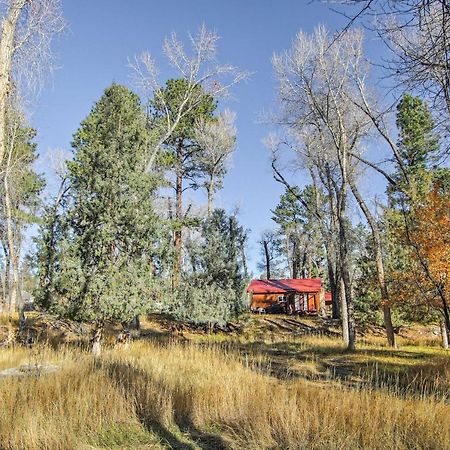 Cozy Colorado Cabin With Deck, Grill And River Access! Буена-Віста Екстер'єр фото