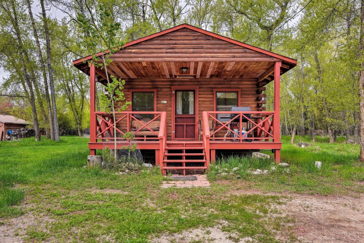 Cozy Colorado Cabin With Deck, Grill And River Access! Буена-Віста Екстер'єр фото