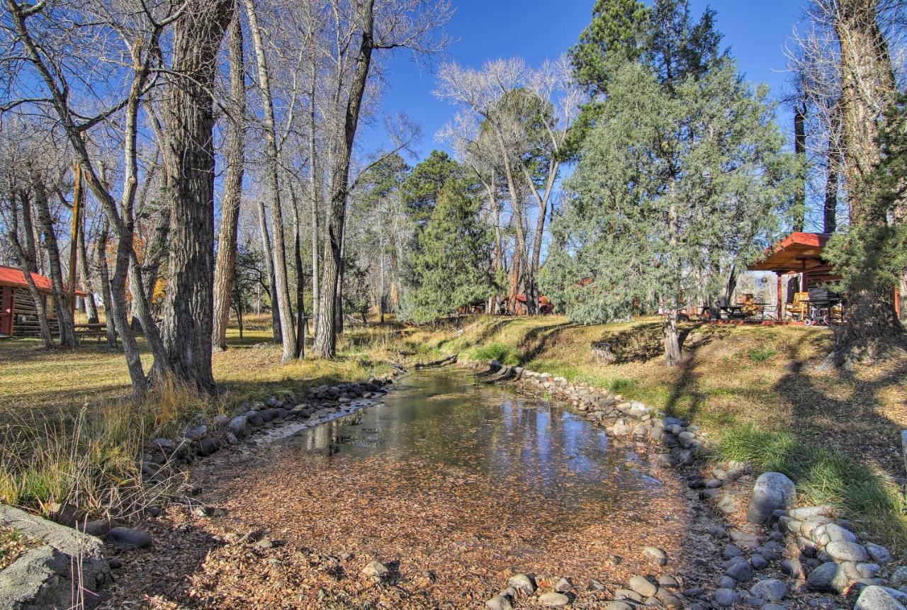 Cozy Colorado Cabin With Deck, Grill And River Access! Буена-Віста Екстер'єр фото
