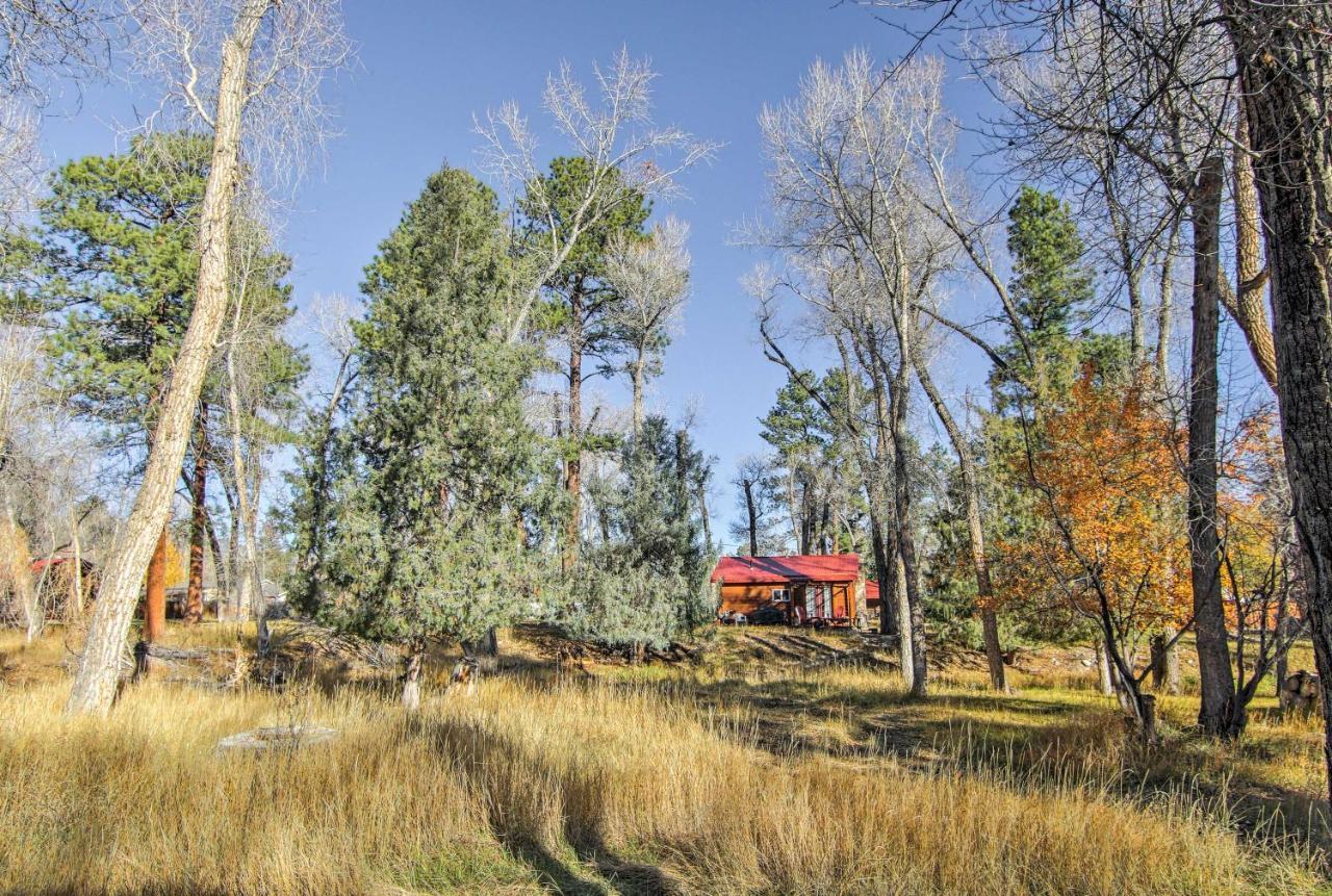 Cozy Colorado Cabin With Deck, Grill And River Access! Буена-Віста Екстер'єр фото
